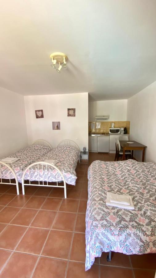 Appartements " Le Clos De La Cerisaie" Castillon-du-Gard Εξωτερικό φωτογραφία